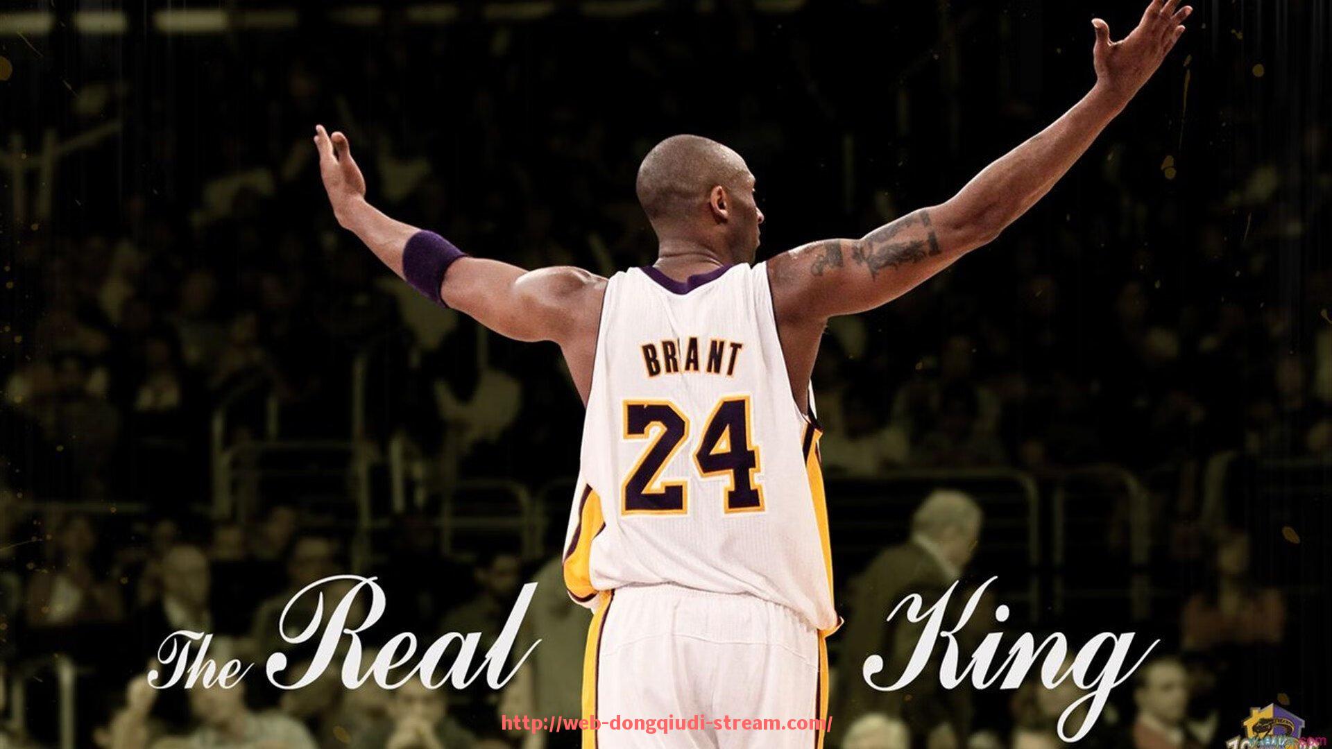 懂球帝直播-家庭健身器材销售平台对比及优惠信息总结