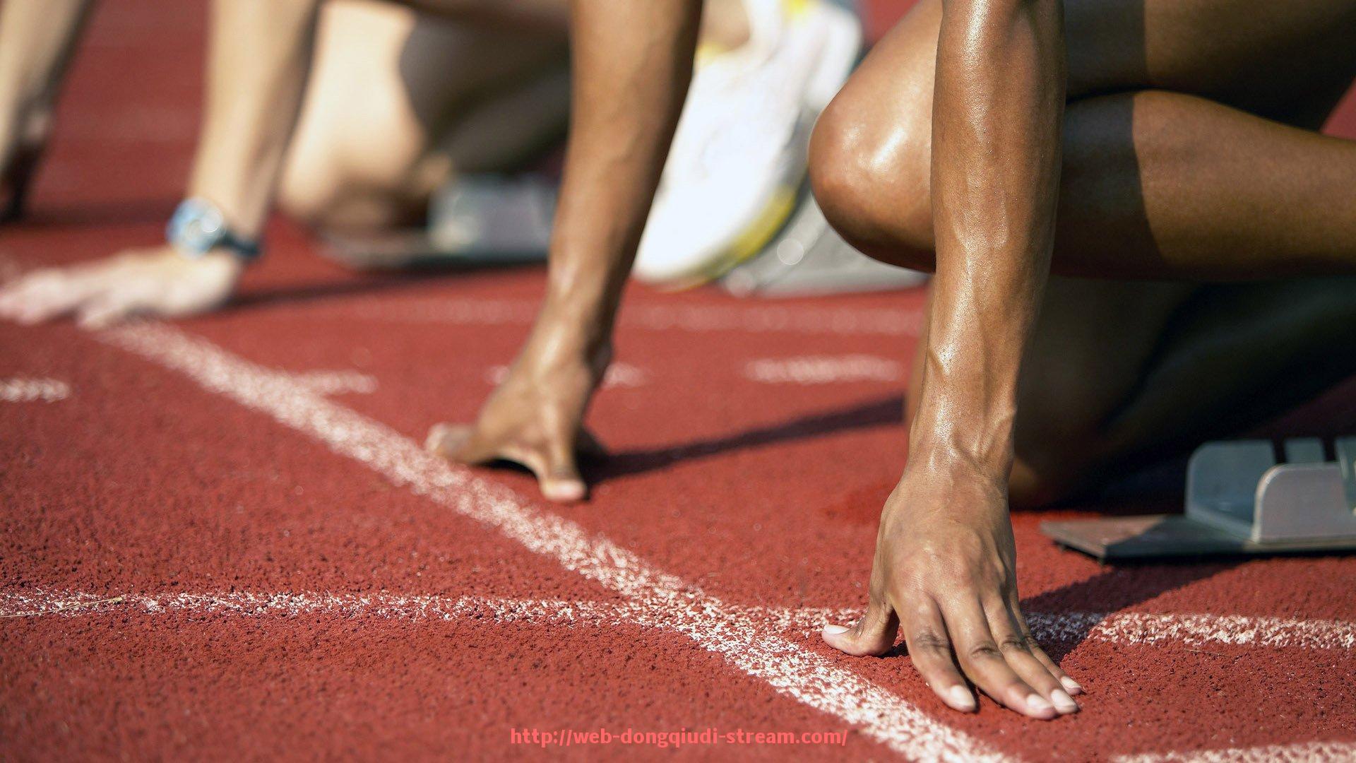 懂球帝直播-舒华品牌健身器材架子的规格及选购建议