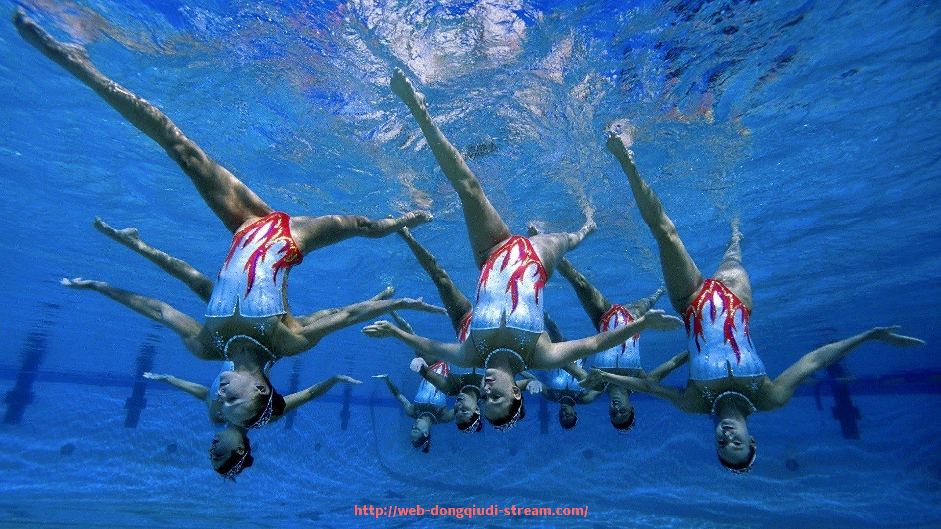 懂球帝直播-欧冠杯历届比赛结果汇总及冠军球队统计